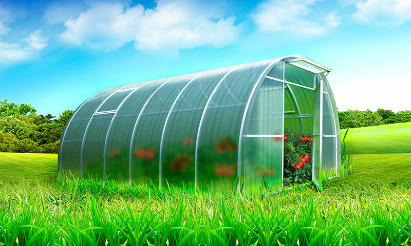 <span style="font-weight: bold;">ТЕПЛИЦЫ </span>